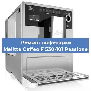 Чистка кофемашины Melitta Caffeo F 530-101 Passione от накипи в Ростове-на-Дону